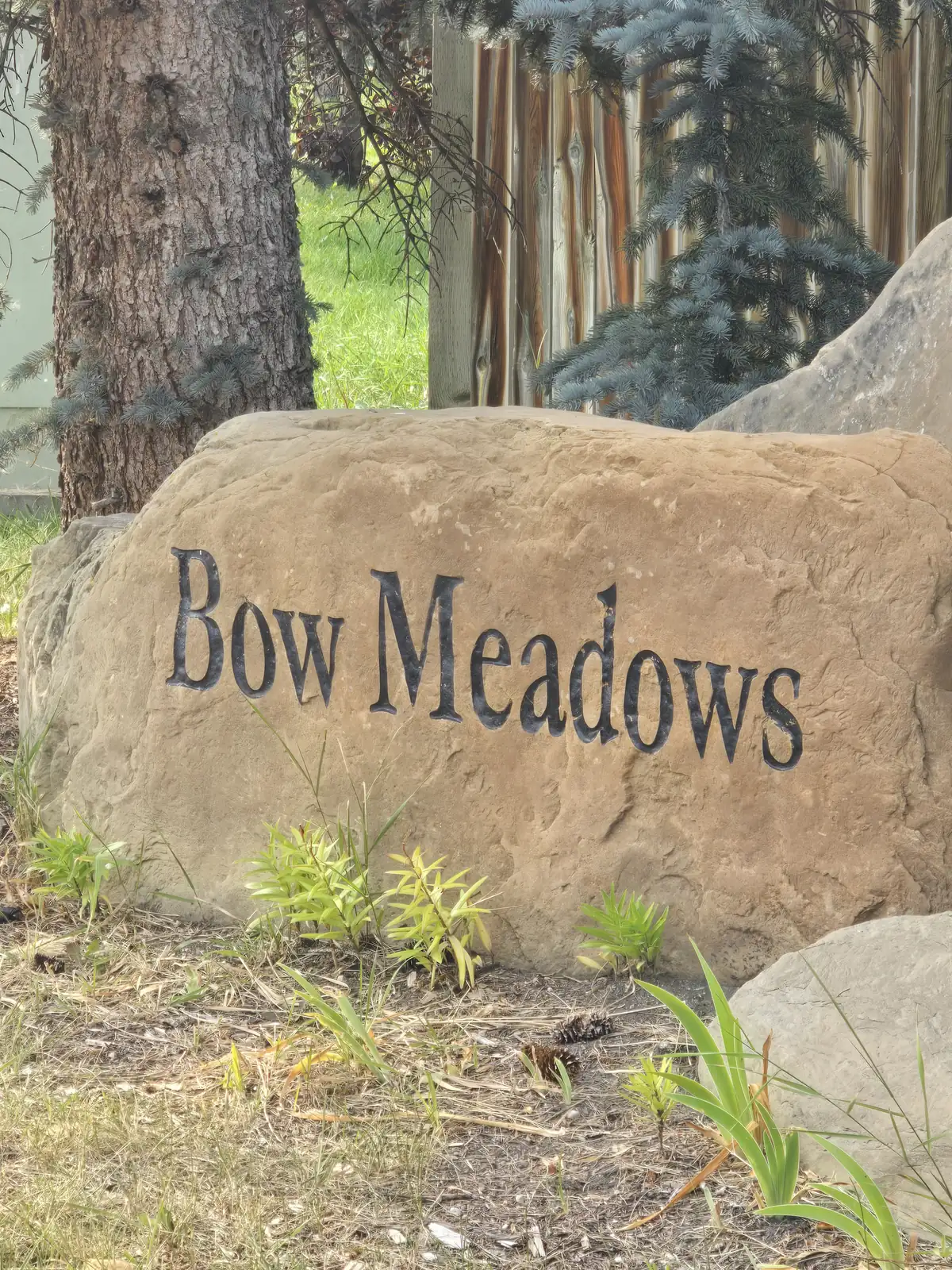 Bow Meadows, Cochrane homes for sale