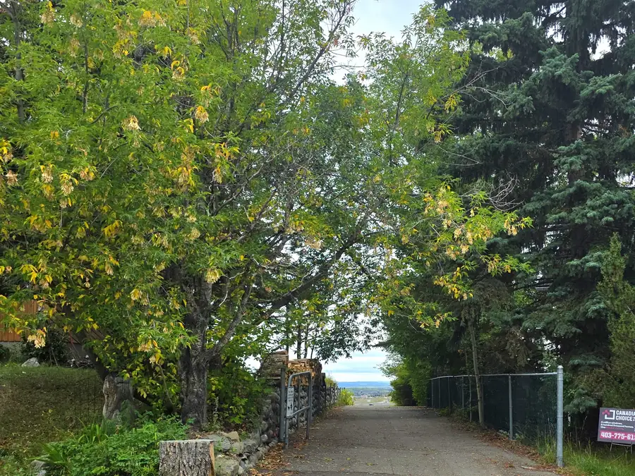 Paved pathway descending from Cochrane Heights toward the Bow valley, Cochrane, Alberta