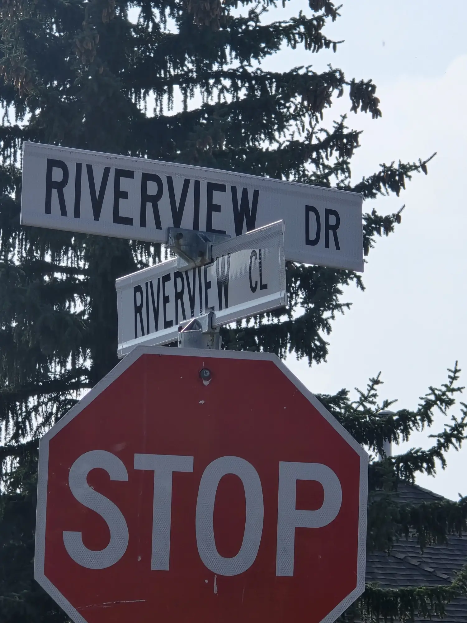 Riverview, Cochrane homes for sale
