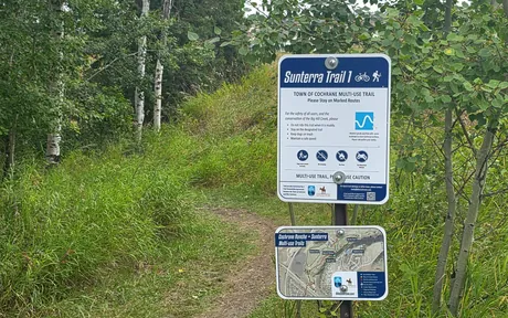 Sunterra Ridge, Cochrane homes for sale