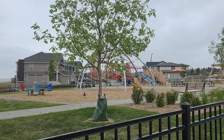 West Hawk, Cochrane homes for sale